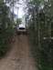 1989 Ford Bronco - A white SUV navigates a challenging dirt incline surrounded by dense trees.