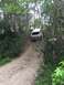 1989 Ford Bronco - White 1989 Ford Bronco navigates a challenging dirt incline surrounded by trees.