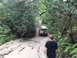 1989 Ford Bronco - Off-road vehicle on a muddy trail surrounded by dense forest vegetation.