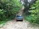 1989 Ford Bronco - This SUV navigates a challenging, muddy path through a dense forest.