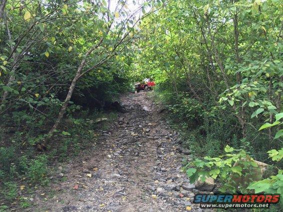 Red SUV on a muddy, rocky trail surrounded by trees