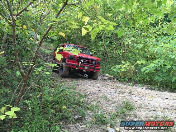 1989 Ford Bronco on a dirt trail surrounded by trees