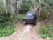 1989 Ford Bronco - This SUV is navigating a steep, muddy incline amidst overgrown vegetation.