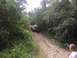 1989 Ford Bronco - A 1989 Ford Bronco navigates a steep, muddy off-road trail surrounded by dense foliage.