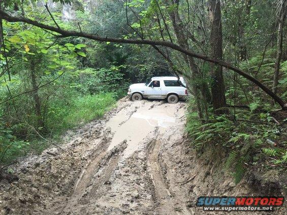 White SUV stuck in mud on a wooded trail. Driver is visible inside