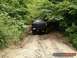 1989 Ford Bronco - A black SUV navigates a rough dirt road through dense foliage.