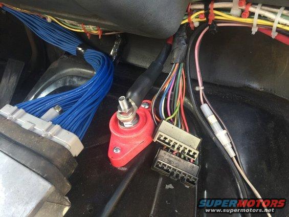 Bundle of blue wires connected to a red terminal, with other colorful wires and connectors nearby