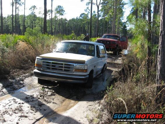 White Ford Bronco and red Ford F-series truck on a muddy trail in a forest