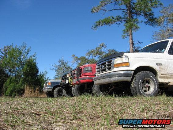 White Ford Bronco parked in a grassy field with trees and blue sky