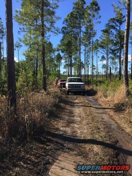 1992 Ford F-Series truck towing a trailer on a muddy dirt road through a pine forest