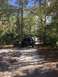 1989 Ford Bronco - Two trucks navigate a sandy path through a wooded area on a sunny day.