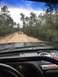 1989 Ford Bronco - Two trucks drive down a dusty dirt road surrounded by trees under a cloudy sky.