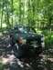 1989 Ford Bronco - This modified 1989 Ford Bronco navigates a wooded trail with large off-road tires and a winch.