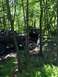 1989 Ford Bronco - Two SUVs, including a 1989 Ford Bronco, drive through a wooded area with a muddy path.