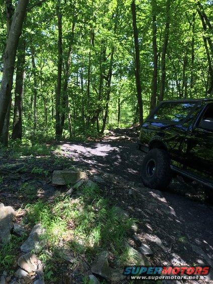 Black SUV driving on a wooded trail with large tires and side steps
