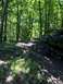 1989 Ford Bronco - A black SUV navigates a rocky, wooded trail on a sunny day.
