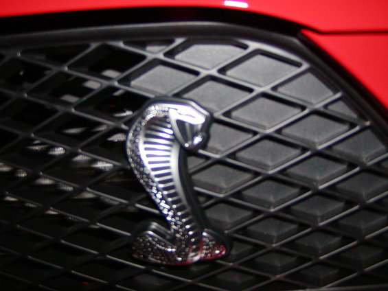 as-purchased-017.jpg