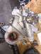 1989 Ford Bronco - Ford engine water pump with part number F2TE-8501-AB and a red seal.