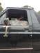 1989 Ford Bronco