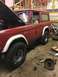1974 Ford Bronco photo