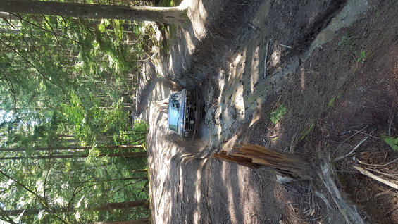 Off-road vehicle navigating a muddy, wooded trail. Appears to be from the early 1980s