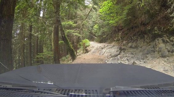 View from inside a vehicle looking out at a rocky, wooded forest road