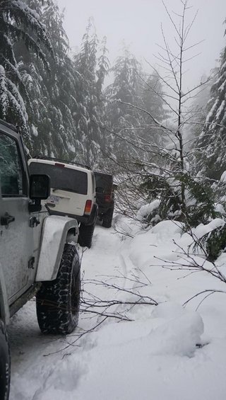 Several SUVs driving in a line on a snow-covered forest path with trees on either side