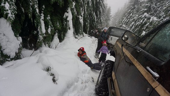 Brown Ford Bronco with tan stripe, off-road tires, parked on a snowy forest road next to a white Jeep