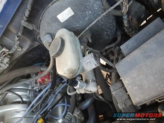 Engine bay with brake fluid reservoir, master cylinder, and fuse box. Ford logo visible on fuse box