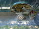 1989 Ford Bronco - The rear axle and suspension of a vehicle are visible, with one wheel removed and the vehicle supported by a jack stand.