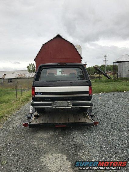 Black 1992 Ford Bronco on a trailer, rear view, with a white stripe across the tailgate