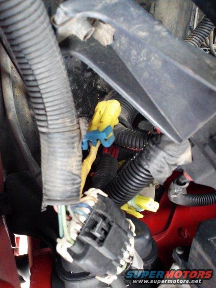 Close-up of yellow and blue electrical connectors in a vehicle's engine bay wiring harness