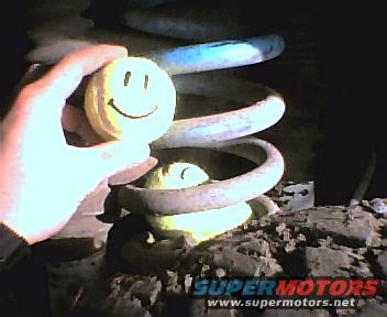 suspballs.jpg Softer suspension for the rough landings