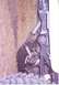 driveshaft.jpg