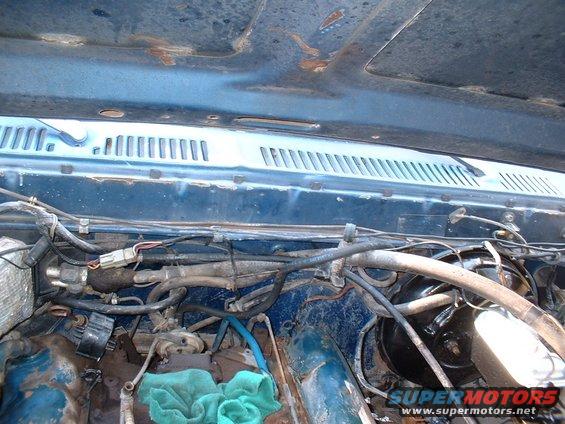 Engine bay with blue paint and visible hoses and wiring