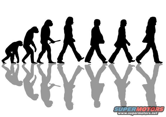 Graphic depicting the evolution of man, from ape to modern human