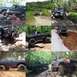 1989 Ford Bronco