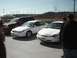 1999 Ford Taurus - Two white Ford sedans and a dark SUV are parked in a lot under a clear sky.