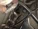 1995 Ford Bronco - Air pump hoses