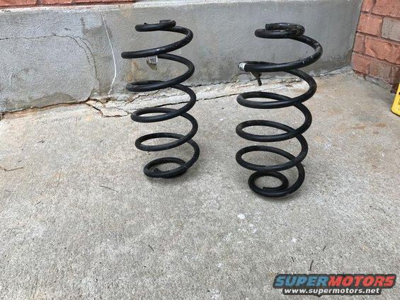Two black coil springs on a concrete surface