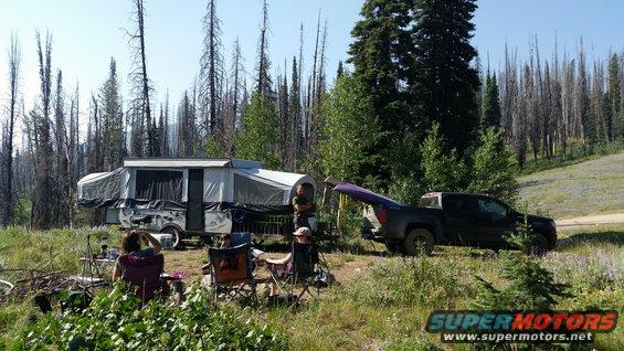Dark pickup truck with surfboard in bed parked next to pop-up camper in wooded area