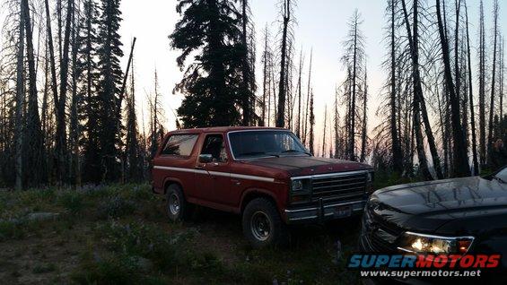 Red 1980 Ford Bronco parked in a forest with a black SUV to its right