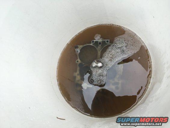 close-up of a dark car emblem on a white background