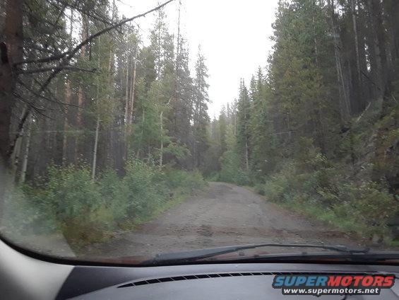 View from inside a vehicle looking out at a gravel road surrounded by trees