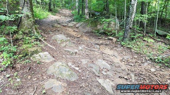 Rocky forest trail with trees and dirt