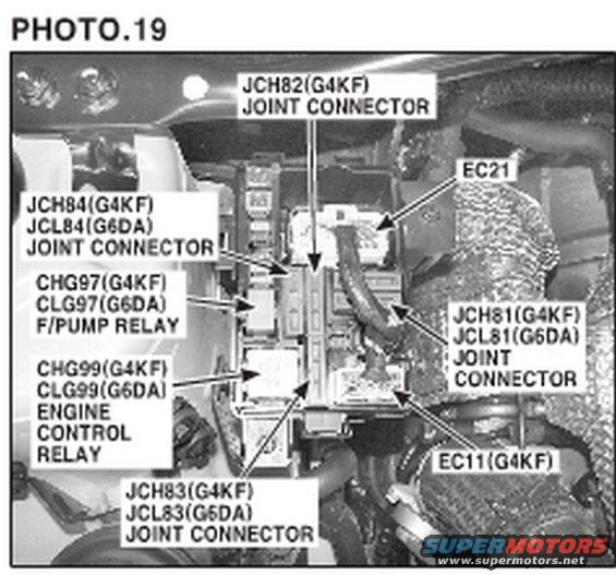ec21-connector-2010-fuel-pump.jpg 