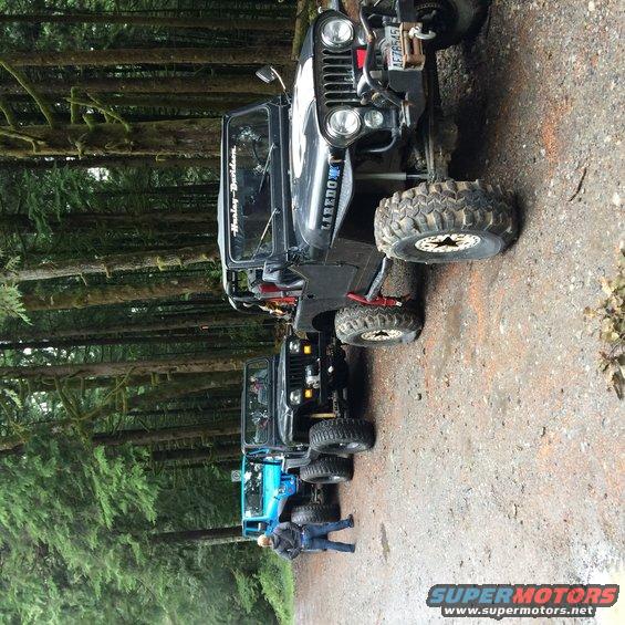 Several Jeeps parked in a line on a dirt road next to a forest. One person stands near the front of the line