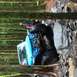 1995 Jeep YJ - A blue Jeep Wrangler is shown traversing a challenging, rocky path through a dense forest.