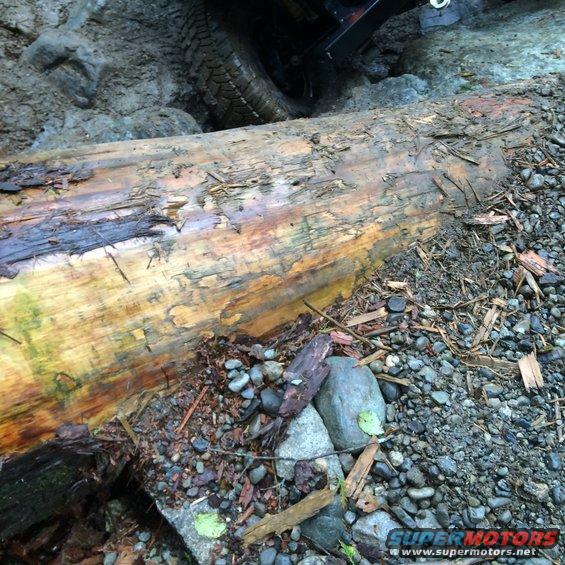 Off-road tire on muddy terrain, about to go over a large fallen log
