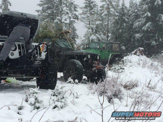 Two Jeeps in a snowy forest, one with its hood open and a Christmas tree on top